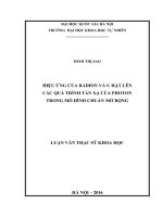 Hiệu ứng của radion và u hạt lên các quá trình tán xạ của photon trong mô hình chuẩn mở rộng  