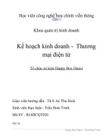 Bản kế hoạch kinh doanh Công ty tổ chức sinh nhật Thương mại điện tử