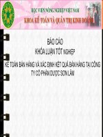 kế toán bán hàng và xác định kết quả bán hàng tại công ty cổ phần dược sơn lâm 