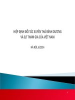 Bài Giảng Hiệp Định Đối Tác Xuyên Thái Bình Dương Và Sự Tham Gia Của Việt Nam