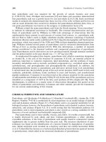 Ebook Handbook of vitamins (4th edition) Part 2