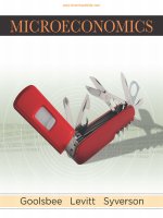 MicroEconomics 1st by goolsbee syverson