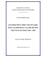 Giải pháp phát triển thương hiệu băng vệ sinh diana tại thị trường việt nam giai đoạn 2015   2020 