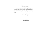 Đảng cộng sản việt nam lãnh đạo phát huy bản sắc văn hóa dân tộc từ năm 1998 đến năm 2014 