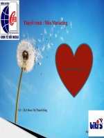 chiến lược marketing bitis