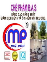 SAN PHAM BAS