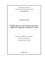 Sự biểu hiện của gen Survivin dưới tác động của tinh chất Aslem ở in vitro (LV tốt nghiệp)