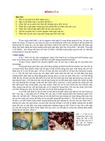 Giáo trình và bài giảng bệnh lý U