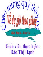 ga-chau-my-da-sua1-chuan-cuoi