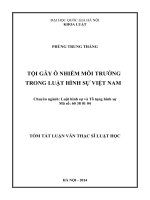 LHS phùng trung thắng tội gây ô nhiễm môi trường trong luật hình sự việt nam 