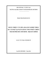 Hoàn thiện văn hóa doanh nghiệp theo ba cấp độ tại ngân hàng thương mại cổ phần phát triển thành phố hồ chí minh   hội sở chính 