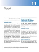 Ebook Lecture notes dermatology (11th edition) Part 2