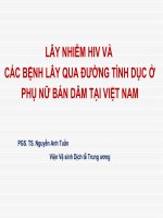 Lây Nhiễm Hiv Và Các Bệnh Lây Qua Đường Tình Dục Ở  Phụ Nữ Bán Dâm Tại Việt Nam