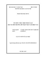 Tổ chức thực hiện pháp luật bảo vệ môi trường đô thị ở việt nam hiện nay