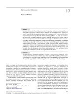 Ebook Keelings fetal and neonatal pathology (5th edition) Part 2