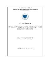 Nâng cao năng lực cạnh tranh của cụm ngành du lịch tỉnh bình định 