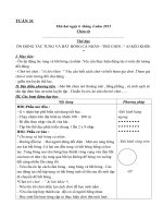 giáo án thể dục lớp 3 tuần 31