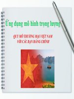 Quy Mô Thương Mại Việt Nam Với Các Bạn Hàng Chính