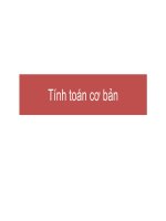 Tính toán cơ bản, tính toán chính xac toán rời rạc