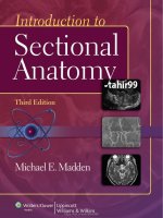 Ebook Introduction to sectional anatomy (3rd edition) Part 1