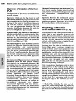 Ebook Color atlas and textbook of human Vol 1  Locomotor system Part 2