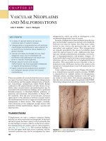 Ebook Dermatological signs of systemic disease (5th Edition) Part 2
