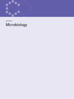 Ebook Elseviers integrated review immunology and microbiology with student consult online access (2nd edition) Part 2