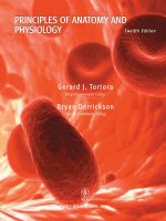 Ebook Principles of anatomy and physiology (12th edition) Part 1