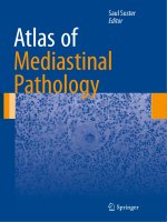 Ebook Atlas of anatomic pathology Part 1