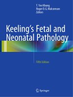 Ebook Keelings fetal and neonatal pathology (5th edition) Part 1