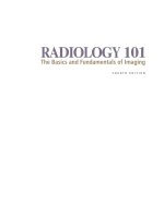 Ebook Radiology 101 the basics  fundamentals of imaging (4th edition) Part 1