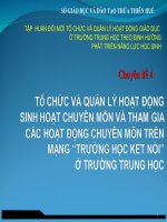 Chuyên Đề Tổ Chức Và Quản Lý Hoạt Động Sinh Hoạt Chuyên Môn Và Tham Gia Các Hoạt Động Chuyên Môn Trên Mạng “Trường Học Kết Nối” Ở Trường Trung Học