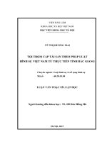 Tội trộm cắp tài sản theo pháp luật hình sự việt nam từ thực tiễn tỉnh bắc giang 