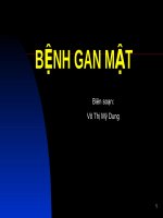 Bài giảng BỆNH GAN MẬT