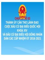 Chuyên Đề Thành Ủy Cần Thơ Lãnh Đạo Cuộc Bầu Cử Đại Biểu Quốc Hội Khóa XIV Và Bầu Cử Đại Biểu Hội Đồng Nhân Dân Các Cấp Nhiệm Kỳ 2016-2021