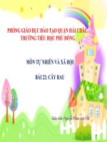 Bài giảng CÂY RAU