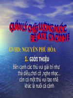 Quản Lý Chất Lượng Nước Bể Nuôi Cá Cảnh Biển