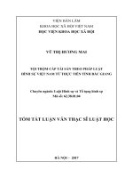 Tội trộm cắp tài sản theo pháp luật hình sự việt nam từ thực tiễn tỉnh bắc giang tt 