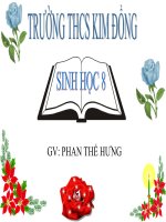 Bài giảng VỆ SINH DA