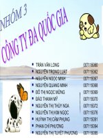 Bài tập nhóm CÔNG TY ĐA QUỐC GIA