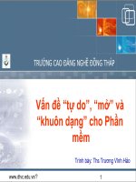 Vấn đề “tự do”, “mở” và “khuôn dạng” cho Phần mềm
