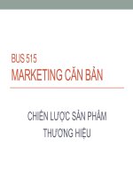Bài giảng Marketing căn bản  Chiến lược sản phẩm thương hiệu