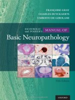 Ebook Escourolle  poirier’s manual of basic neuropathology Part 1