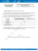 Đề thi học kì 2 môn Lịch sử lớp 11 năm 2017  Trường THPT Huỳnh Mẫn Đạt