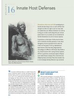 Ebook Microbiology principles and explorations (8th edition) Part 2