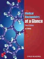 Ebook Medical biochemistry at a glance (3rd edition) Part 1