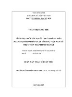 Hình phạt đối với người chưa thành niên phạm tội theo pháp luật hình sự việt nam từ thực tiễn thành phố hà nội 