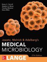 Ebook Medical microbiology Part 1