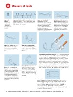 Ebook Medical biochemistry at a glance (3rd edition) Part 2