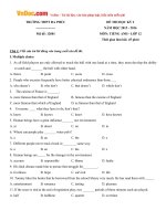 Bộ đề thi học kỳ 2 môn Tiếng Anh lớp 12 có đáp án 